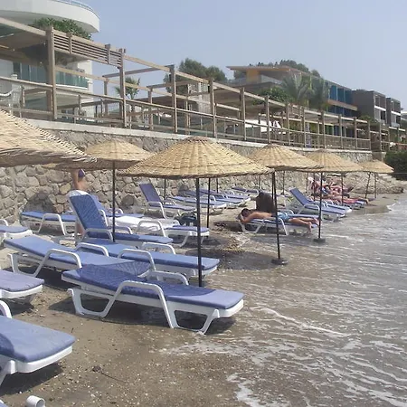 Ado 3* טורגוטריס