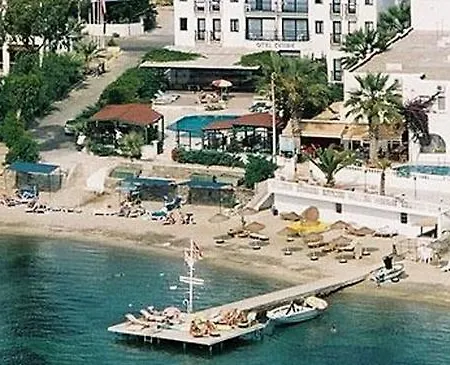 Ado טורגוטריס