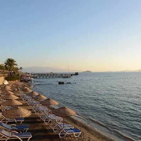 Ado Отель Тургутрейс